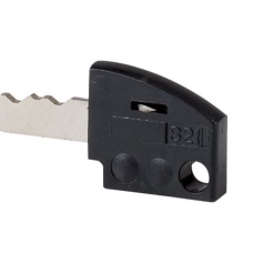 Individual key, black
