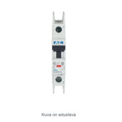 Miniature circuit breaker (MCB), 10 A, 1p, charact