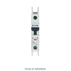 Miniature circuit breaker (MCB), 32 A, 1p, charact