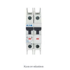 Miniature circuit breaker (MCB), 2 A, 2p, characte