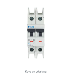 Miniature circuit breaker (MCB), 3A, 2p, type C ch