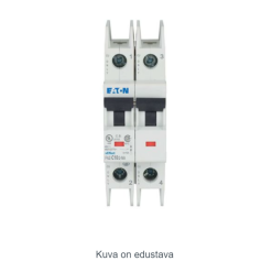 Miniature circuit breaker (MCB), 10 A, 2p, charact