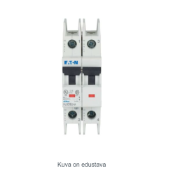 Miniature circuit breaker (MCB), 16 A, 2p, charact