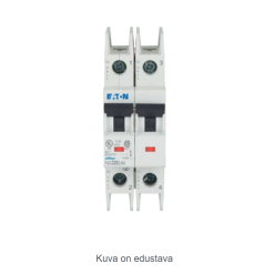Miniature circuit breaker (MCB), 25 A, 2p, charact