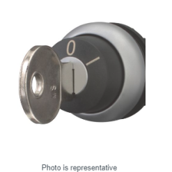 Key-operated actuator, momentary, 2 positions, MS2
