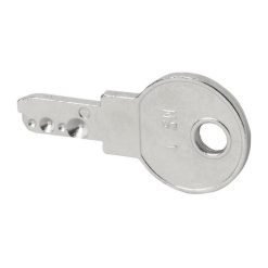 Key, MS1