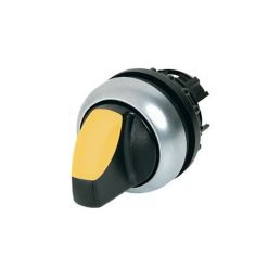Illuminated selector switch actuator, RMQ-Titan, W