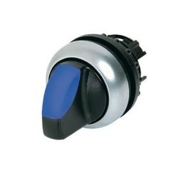 Illuminated selector switch actuator, RMQ-Titan, W