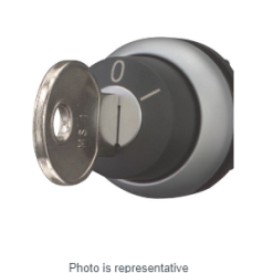 Key-operated actuator, RMQ-Titan, Key operated