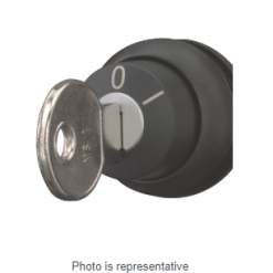 Key-operated actuator, momentary, 2 positions