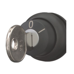Key-operated actuator, maintained, 2 positions
