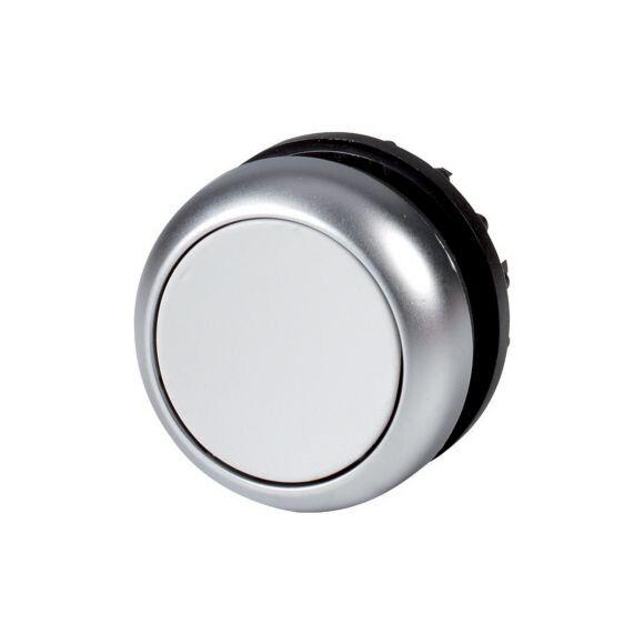 Pushbutton, RMQ-Titan, Flat, momentary, gray, Blan